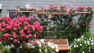 Thumbnail of post image 054